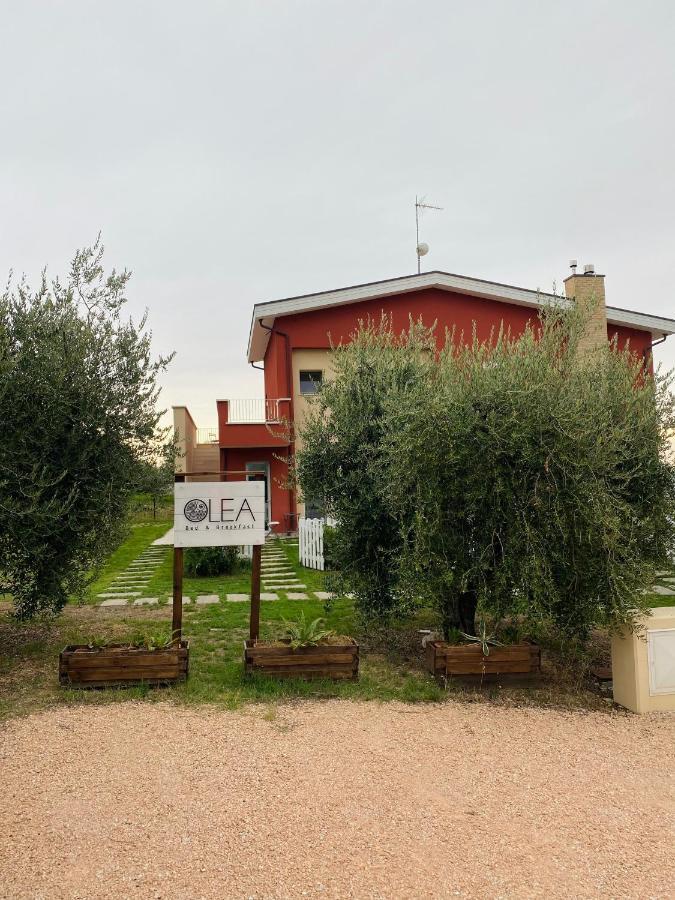 Olea B&B Montecosaro  Exterior foto